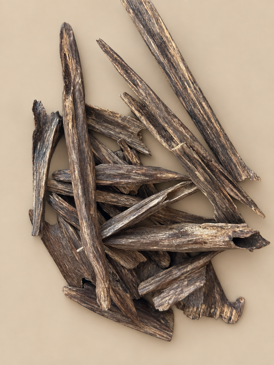عود سيوفي